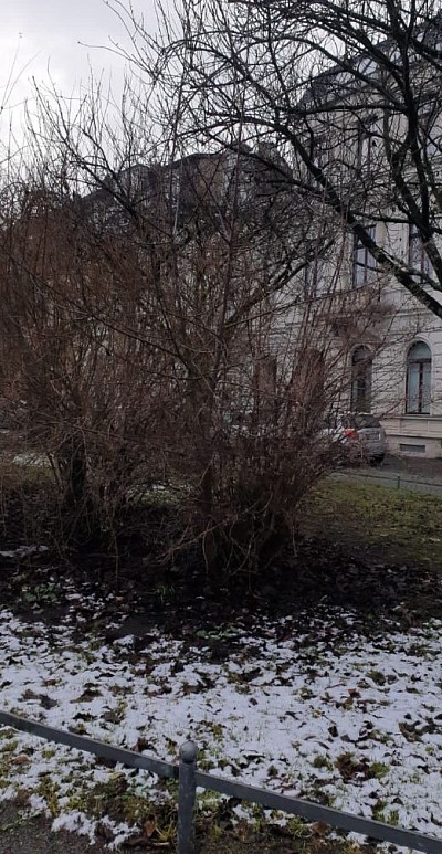 Ort: Alexanderplatz Krefeld Wann: 02.01.26