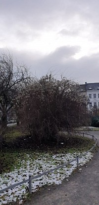 Ort: Alexanderplatz Krefeld Wann: 02.01.2026