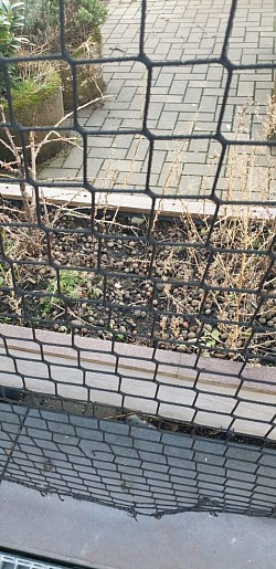 AKTUELL: UrBane Nachbarschaft Samtweberei gGbmH Krefeld Datum: 18.01.2026