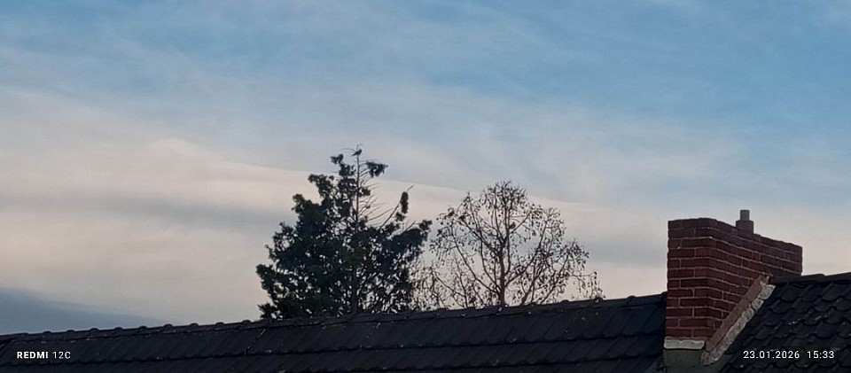 AKTUELL: 23.01.2026 Ort: Krefeld ein Wunderbares Natur in Krefeld