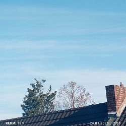 AKTUELL: Ort: Krefeld Datum: 24.01.26